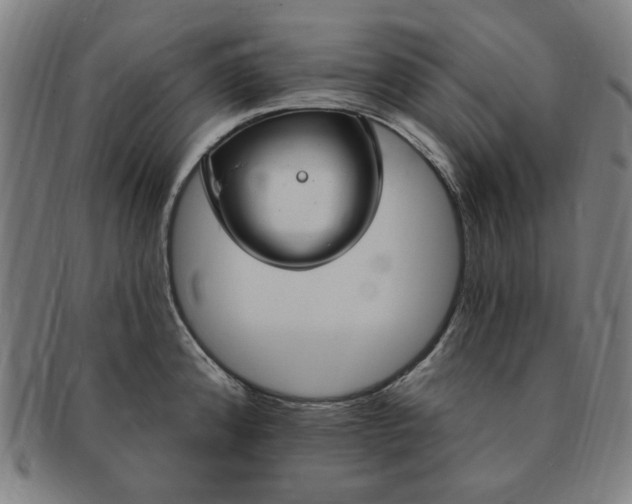 X0000091191192200708231502