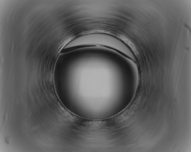 X0000091191193200708231502