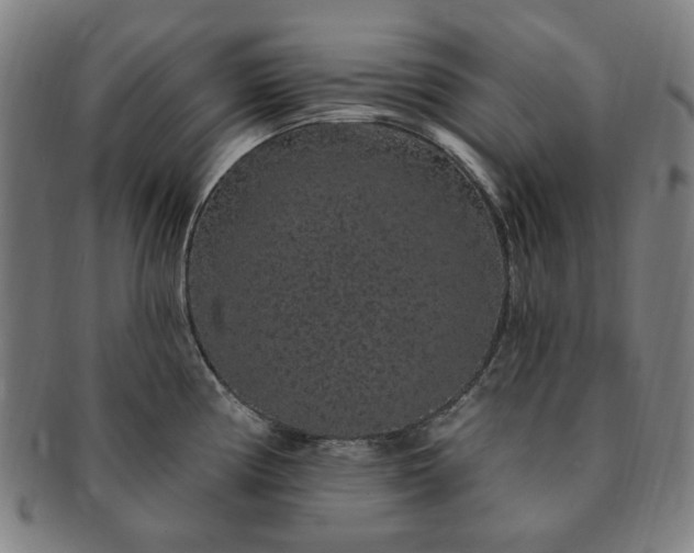 X0000091191194200708231502