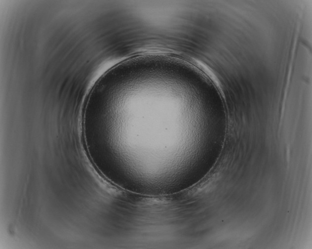 X0000091191195200708231502