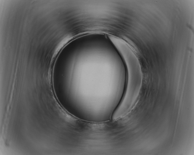 X0000091191196200708231502