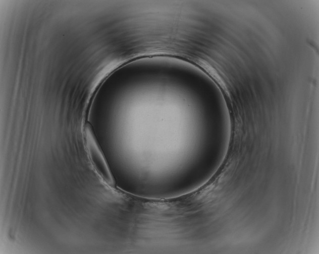 X0000091191197200708231502