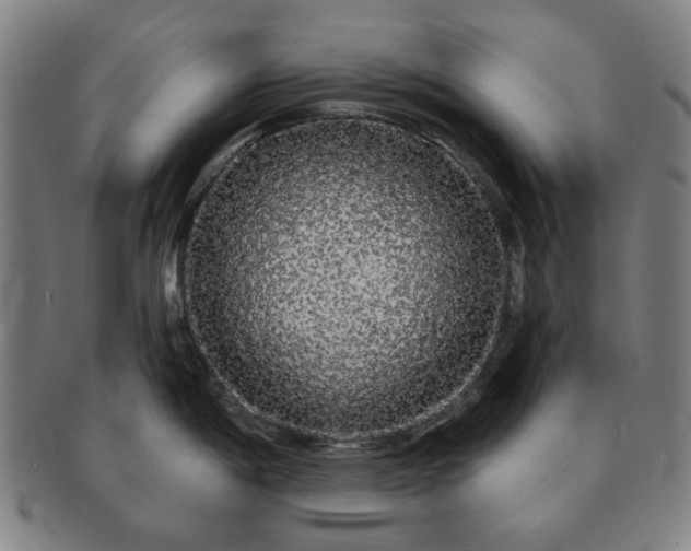 X0000091191198200708231502