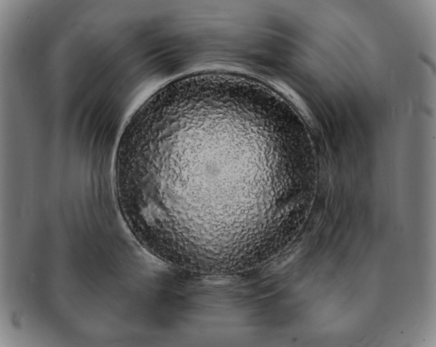 X0000091191199200708231502