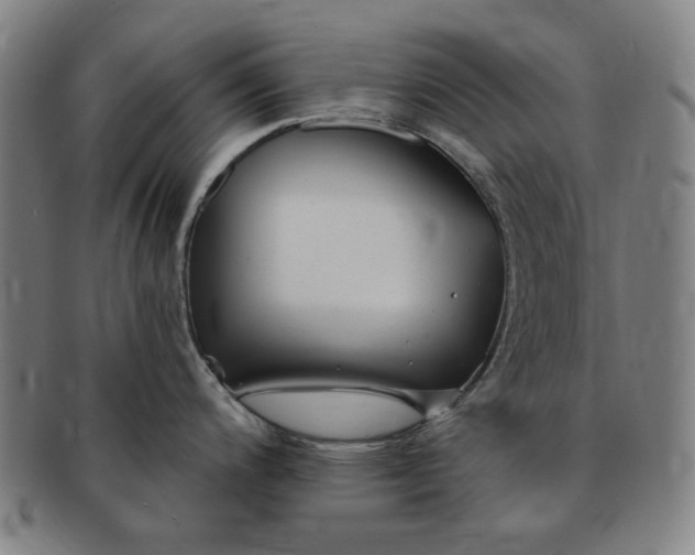 X0000091191200200708231502