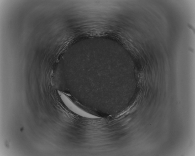 X0000091191202200708231501