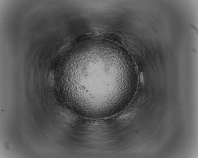 X0000091191203200708231501