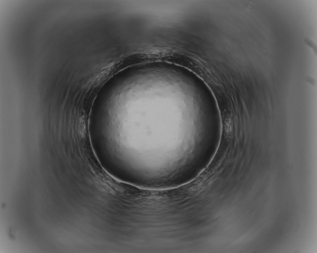 X0000091191204200708231501