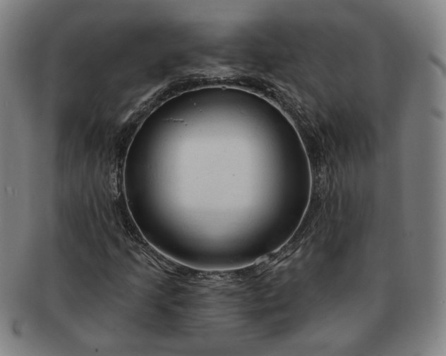 X0000091191205200708231501