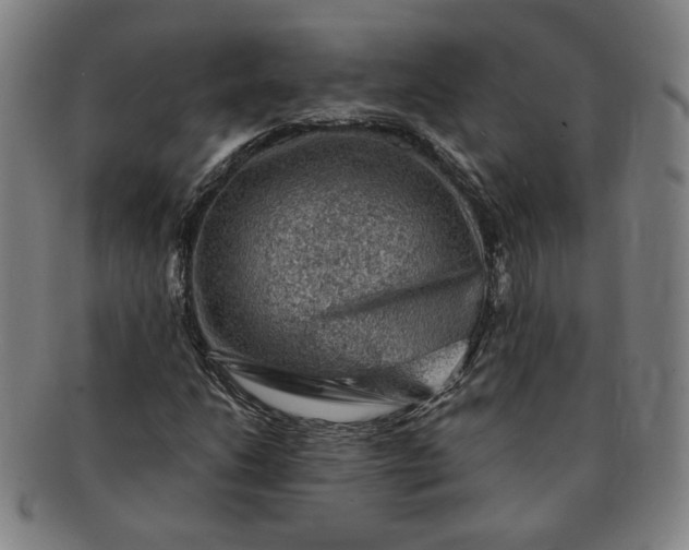 X0000091191206200708231501