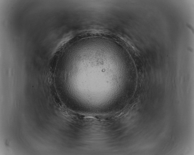 X0000091191207200708231501