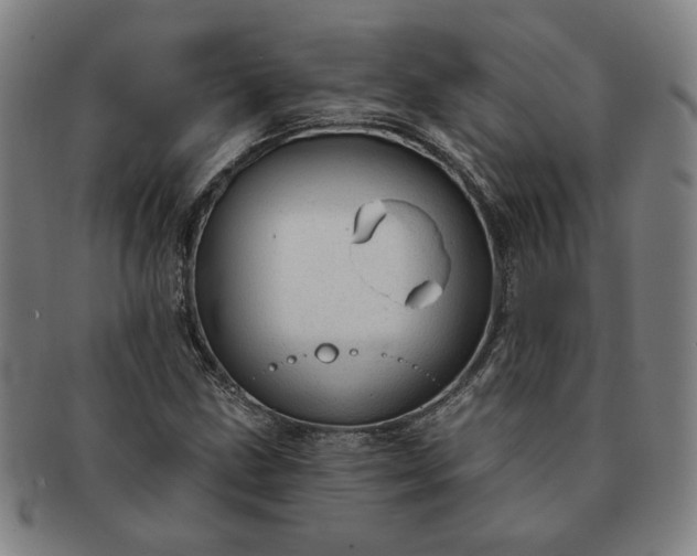 X0000091191211200708231501