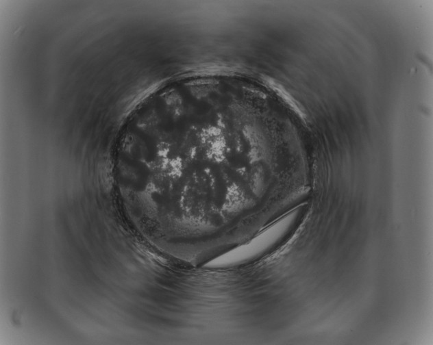 X0000091191213200708231501