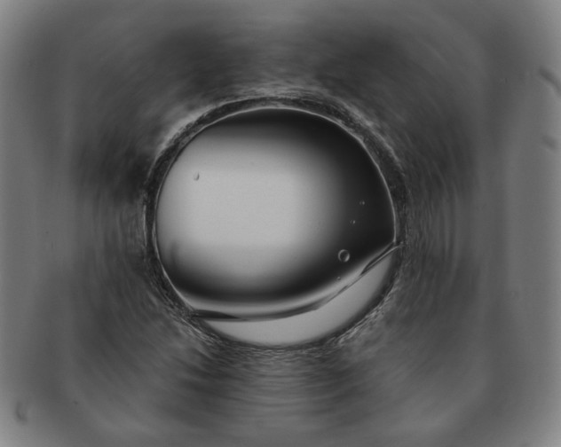 X0000091191214200708231501