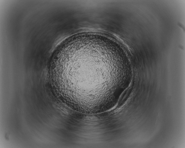 X0000091191215200708231501