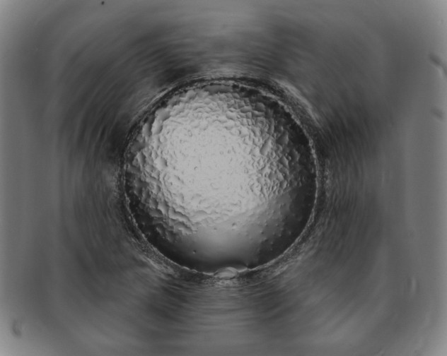 X0000091191217200708231501