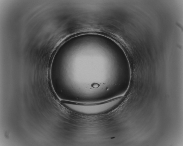 X0000091191220200708231501