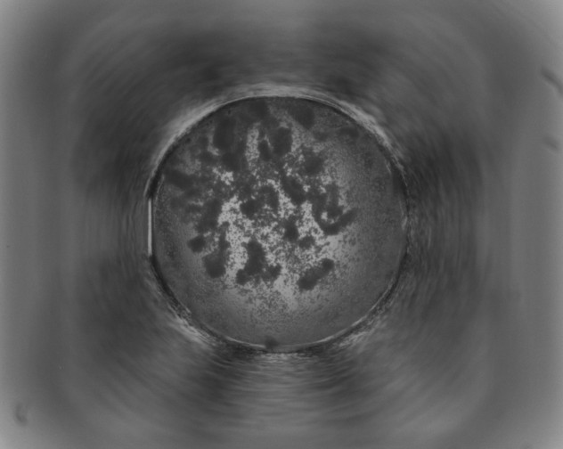 X0000091191223200708231501