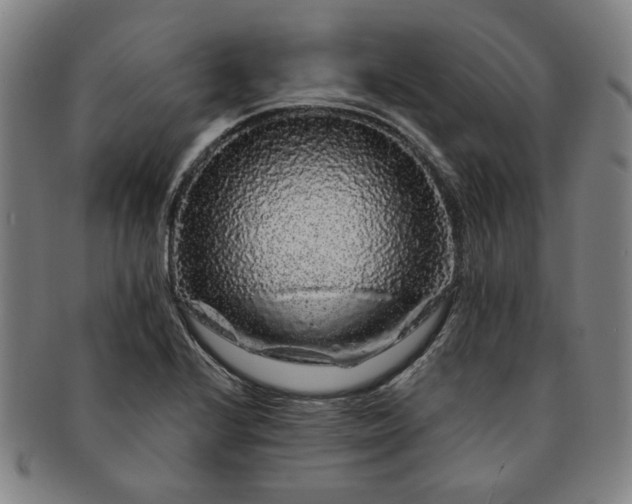 X0000091191224200708231501