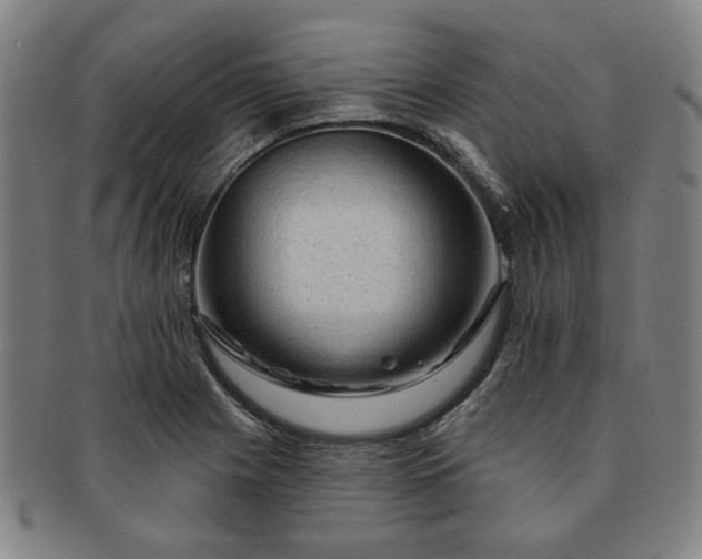 X0000091191225200708231501