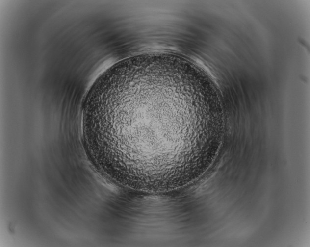 X0000091191227200708231501