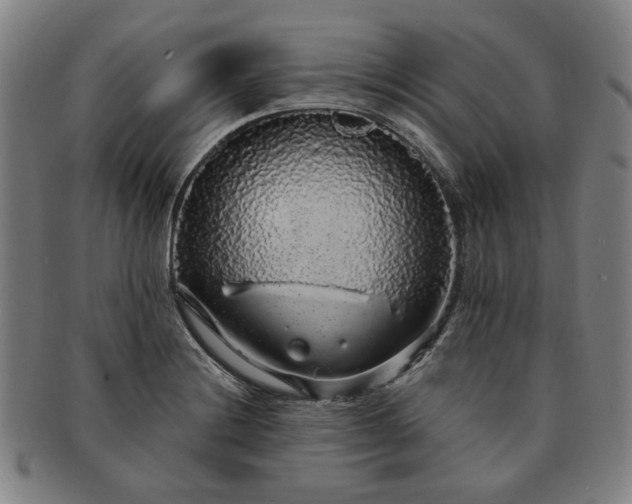 X0000091191228200708231501