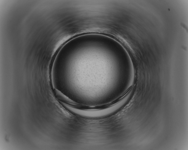 X0000091191230200708231501