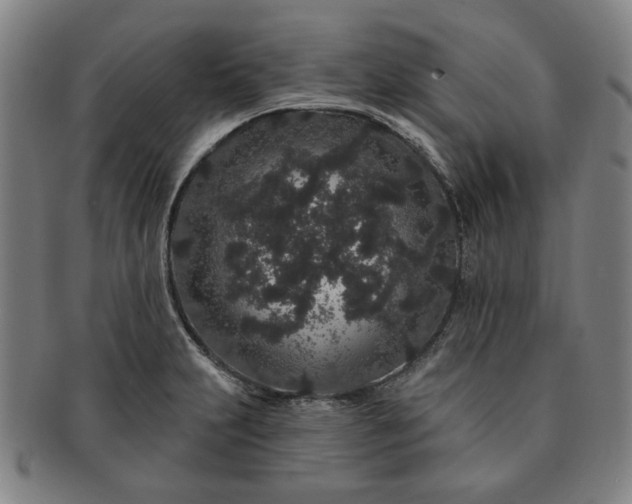 X0000091191231200708231501