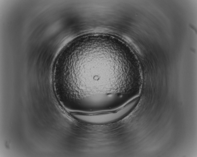 X0000091191232200708231501