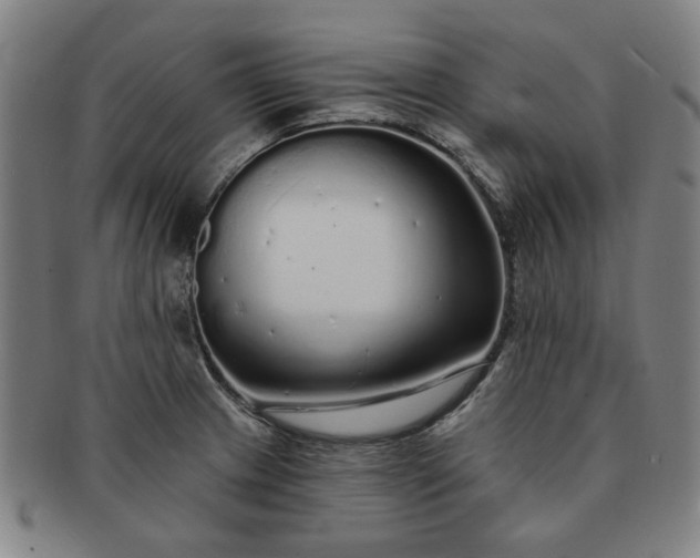 X0000091191233200708231501