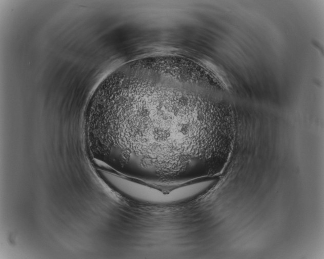 X0000091191235200708231501