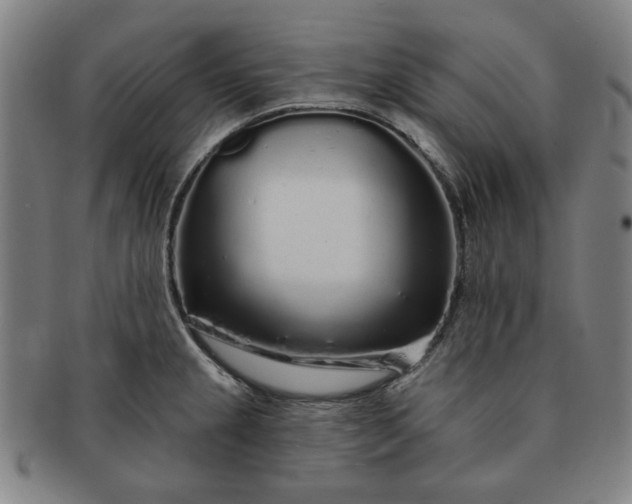 X0000091191237200708231501