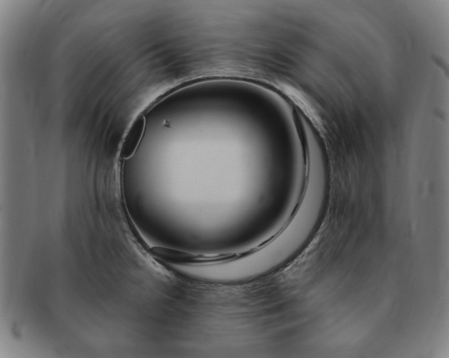 X0000091191238200708231501