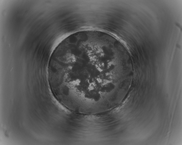 X0000091191239200708231501