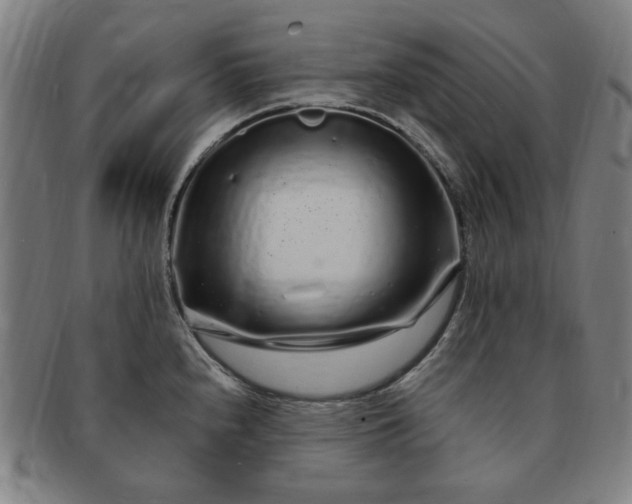 X0000091191240200708231501