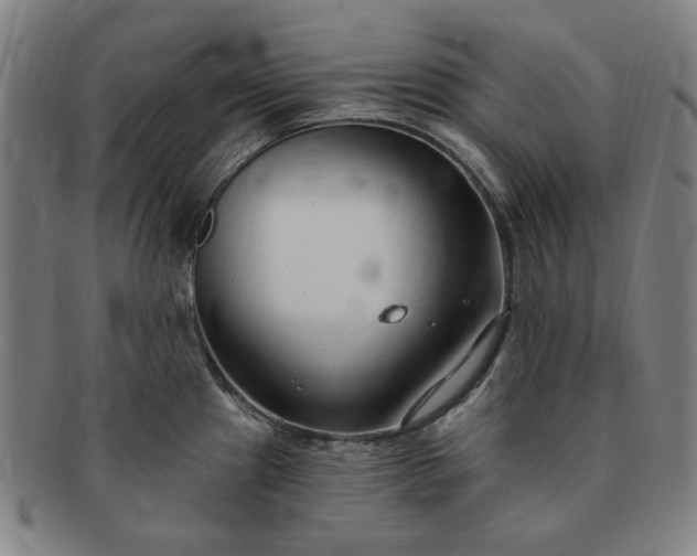 X0000091191241200708231501