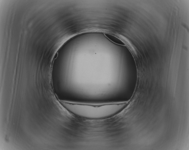 X0000091191244200708231501