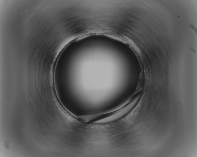 X0000091191246200708231501