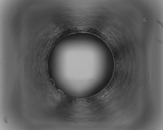 X0000091191249200708231501