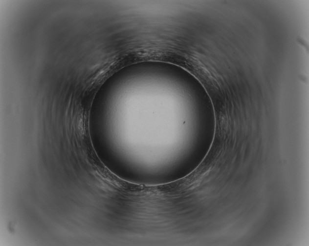 X0000091191250200708231501