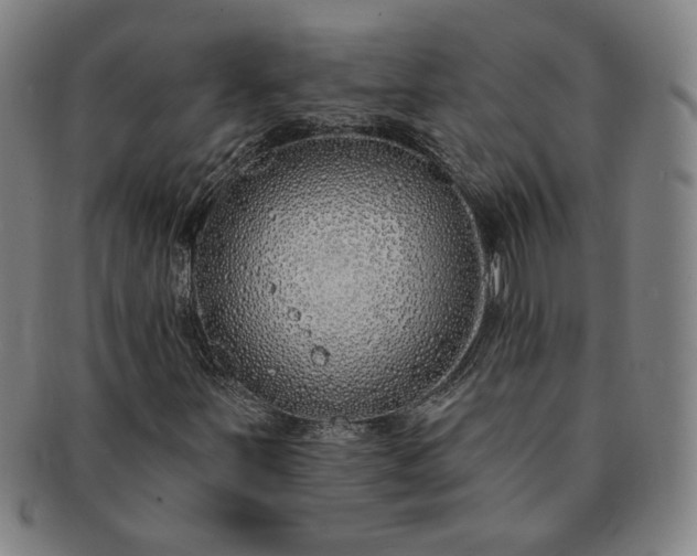 X0000091191251200708231501