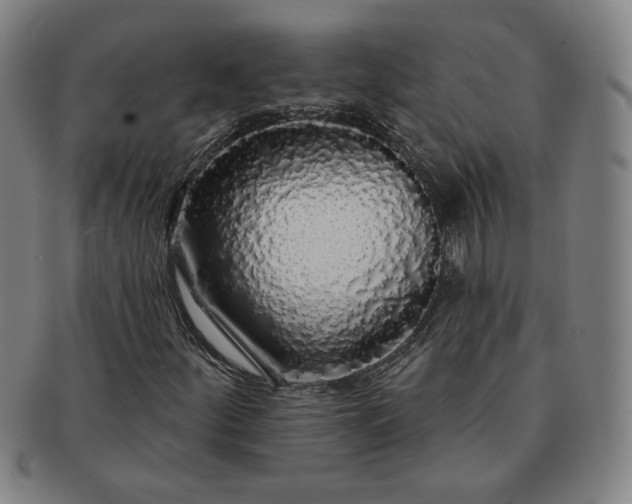 X0000091191252200708231501