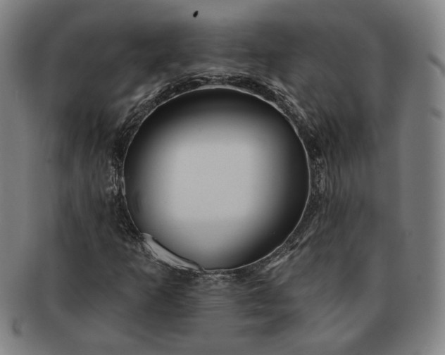 X0000091191253200708231501