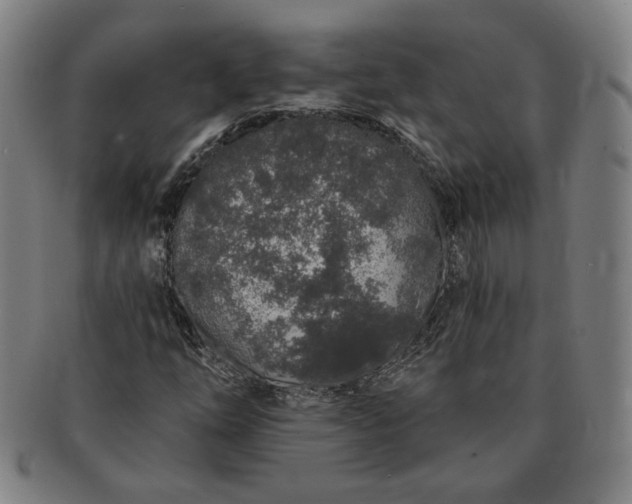 X0000091191254200708231501