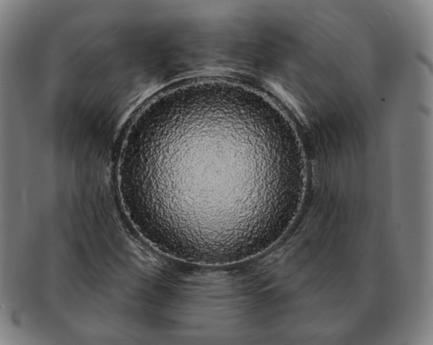 X0000091191260200708231501