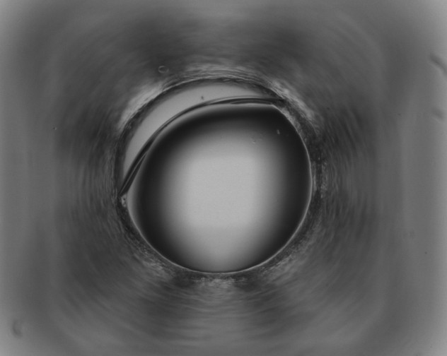 X0000091191261200708231501