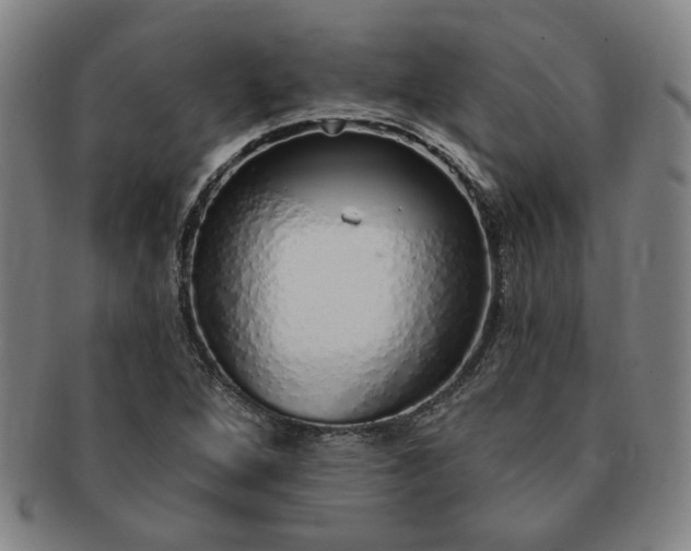 X0000091191264200708231501