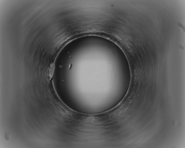 X0000091191265200708231501