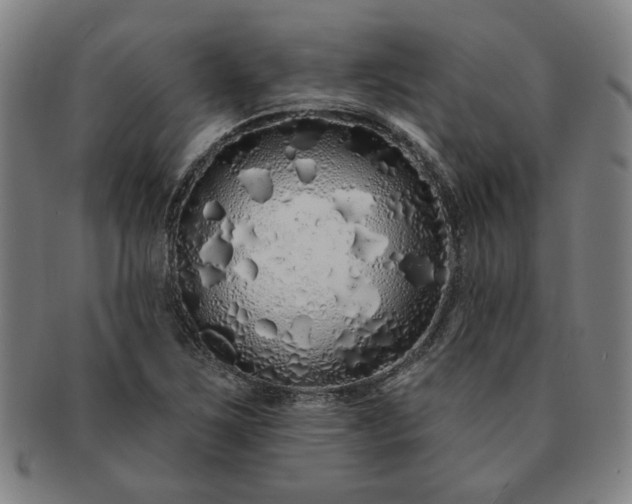 X0000091191267200708231501