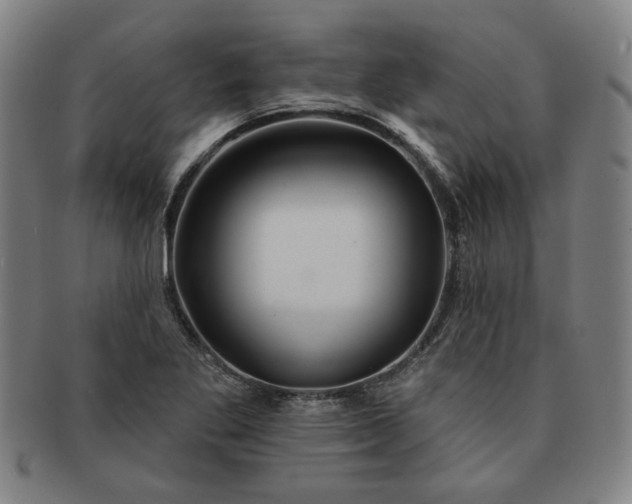 X0000091191269200708231501